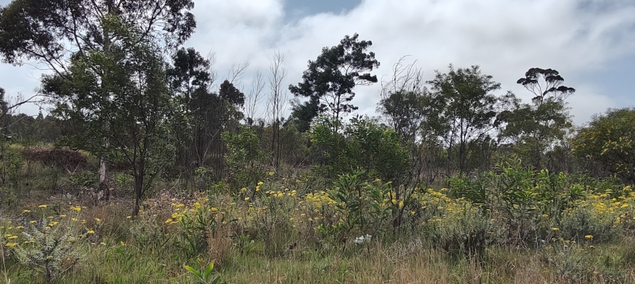 0 Bedroom Property for Sale in Greenbushes Eastern Cape